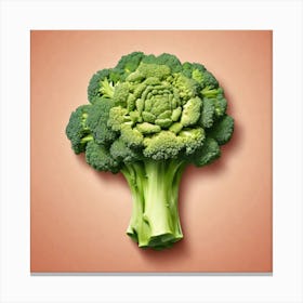 Broccoli Stock Videos & Royalty-Free Footage Canvas Print