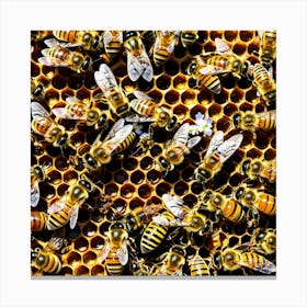 Bees On Honeycomb 6 Canvas Print