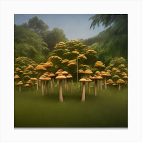 Mushrooms In The Forest Canvas Print