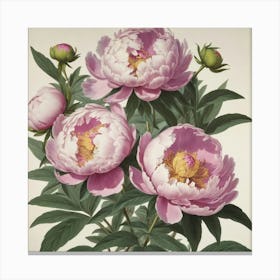 Pink Peonies flower plants painting art print Canvas Print