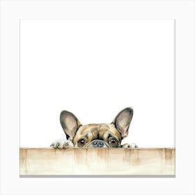 French Bulldog Peeking Over The Fence Canvas Print