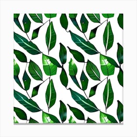 Green Leaves On A White Background 2 Canvas Print