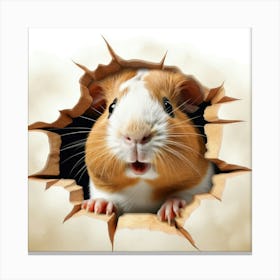 Guinea Pig 7 Canvas Print