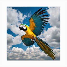 Parrot In Flight 1 Canvas Print
