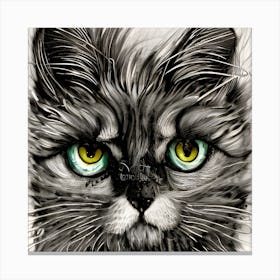 Grey Cat With Green Eyes Canvas Print