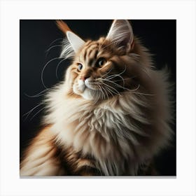 Portrait Of A Coon Cat Canvas Print