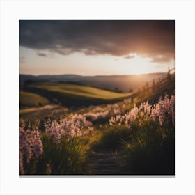 Sunset In The Countryside 7 Canvas Print