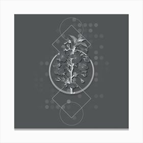 Vintage Pear Tree Flowers Botanical with Line Motif and Dot Pattern in Ghost Gray Canvas Print