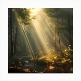 Rays Of Sunlight In The Forest Canvas Print
