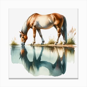 Horse Drinking Water Canvas Print