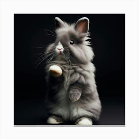 Rabbit Sitting On A Black Background Canvas Print