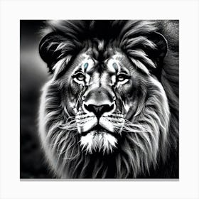 Lion art 81 Canvas Print