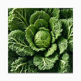 Frame Created From Savoy Cabbage Sprouts On Edges And Nothing In Middle Trending On Artstation Sha (2) Canvas Print