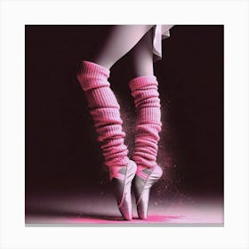 Pink Ballet Shoes Canvas Print