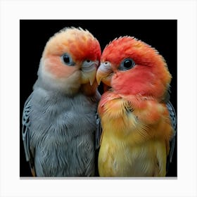 Couple Of Parrots Canvas Print