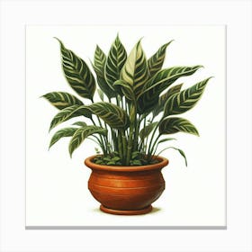 Philodendron Canvas Print