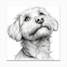 Labradoodle Canvas Print