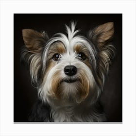 Yorkshire Terrier Canvas Print