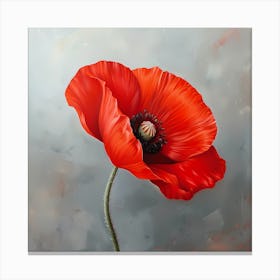 Poppies Canvas Print