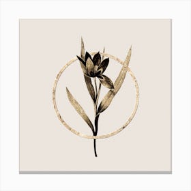 Gold Ring Tulipa Oculus Colis Glitter Botanical Illustration n.0105 Canvas Print