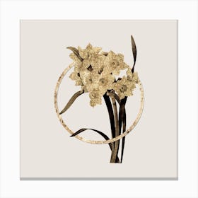 Gold Ring Bunch Flowered Daffodil Glitter Botanical Illustration n.0297 Canvas Print