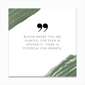 Bloom Where You Are Planted For Even In Adversity There Is Potential For Growth Canvas Print