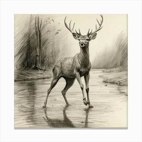 Deer In Water 14 Canvas Print