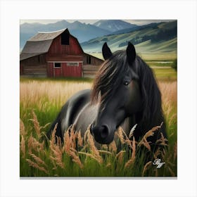 Beautiful Black Stallion In High Grass 2 Copy Canvas Print