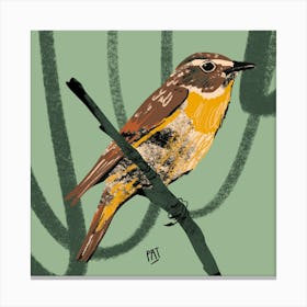 Bird Braunkelchen Canvas Print