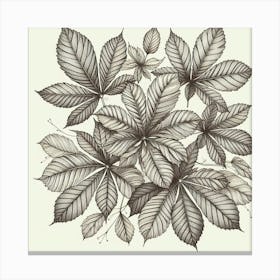 Line Art chestnut leaves 2 Canvas Print