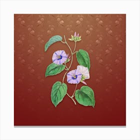 Vintage Hoary Jacquemontia Flower Botanical on Falu Red Pattern n.0414 Canvas Print