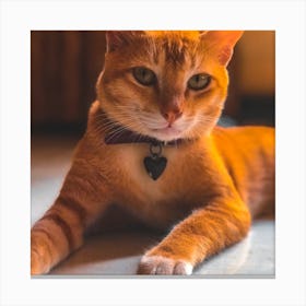 Orange Tabby Cat Canvas Print