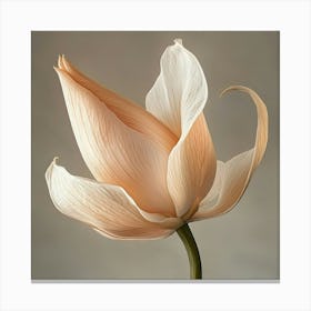 Lotus Flower Canvas Print