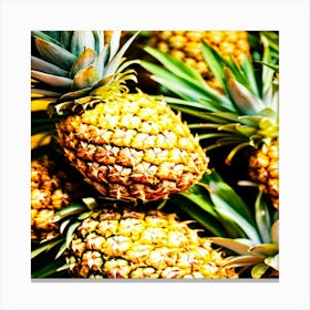 Pineapples Canvas Print