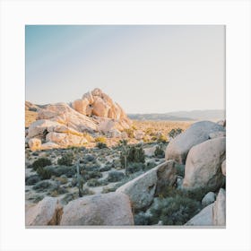 Desert Boulder Field Canvas Print