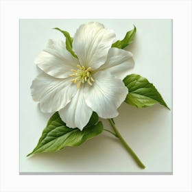 White Clematis Flower Lienzo