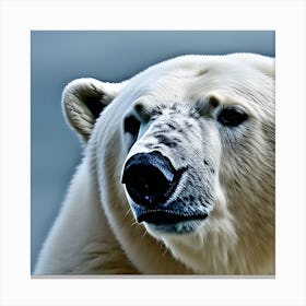 Polar Bear Canvas Print