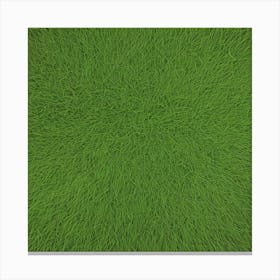 Grass Background 14 Canvas Print