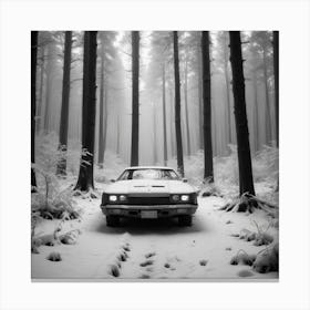 Car In The Woods Canvas Print