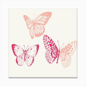 Butterflies On A White Background Canvas Print