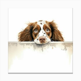 Spaniel Welsh Springer Canvas Print