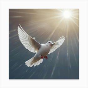 Dove In Flight Canvas Print