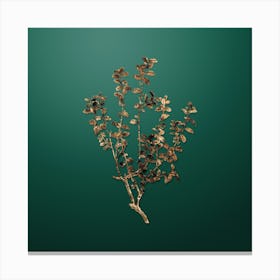 Gold Botanical Cape Myrtle on Dark Spring Green Canvas Print