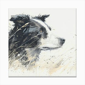 Border Collie Canvas Print