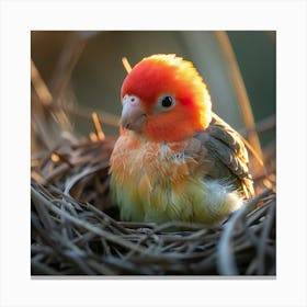 Lovable Bird Canvas Print