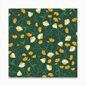 Chamomile and buttercup meadow Canvas Print