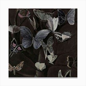 Butterflies In A Tree Canvas Print