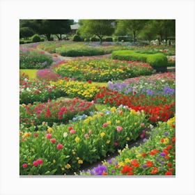 Tulip Garden Canvas Print