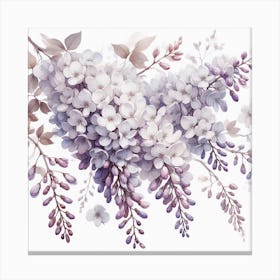 Flowers of Wisteria 2 Canvas Print