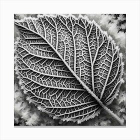 Winter leaf 2 Canvas Print